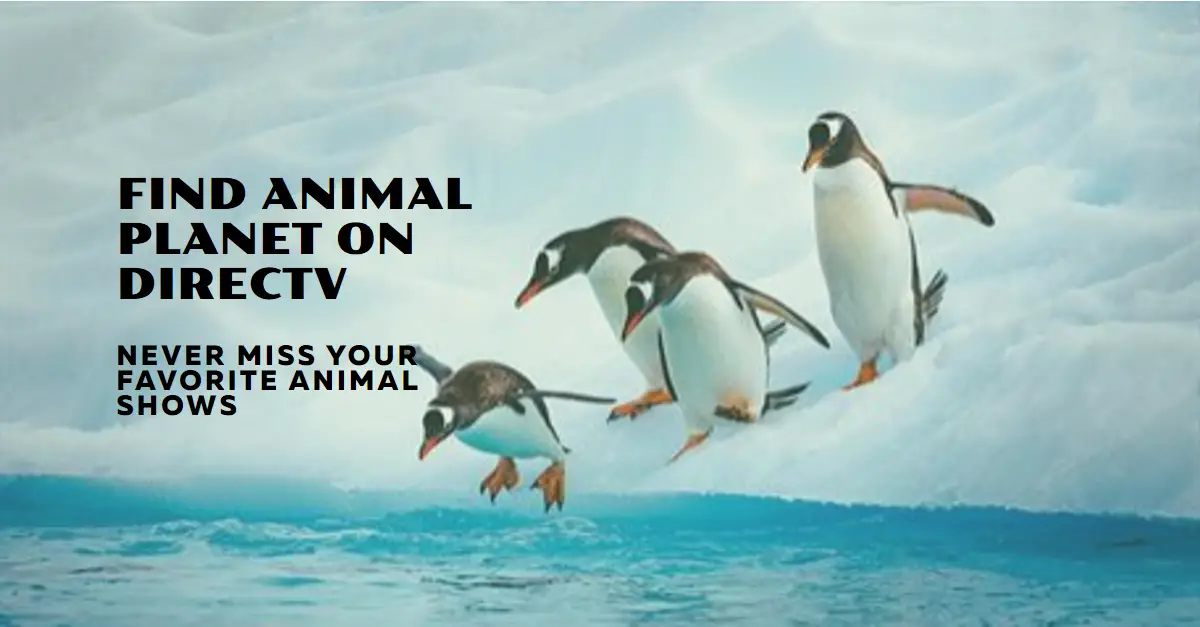 What Channel is Animal Planet on DirecTV?